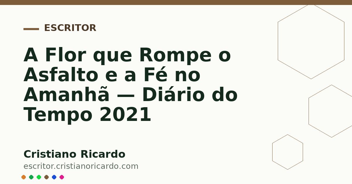 Card OG automático: A Flor que Rompe o Asfalto e a Fé no Amanhã — Diário do Tempo 2021