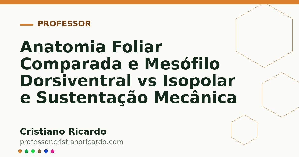 Card OG automático: Anatomia Foliar Comparada e Mesófilo Dorsiventral vs Isopolar e Sustentação Mecânica