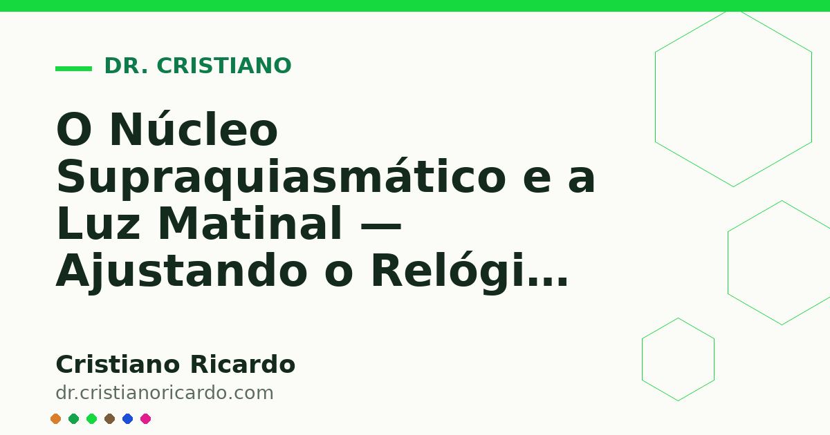 Card OG automático: O Núcleo Supraquiasmático e a Luz Matinal — Ajustando o Relógio Mestre Cerebral